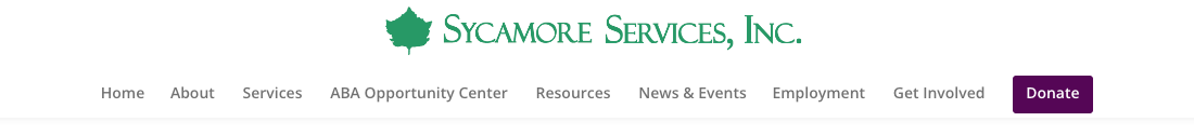 Sycamore Services Inc